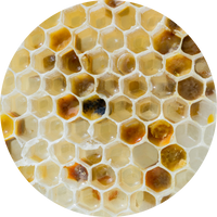 Beeswax