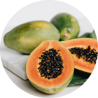 Papaya Extract